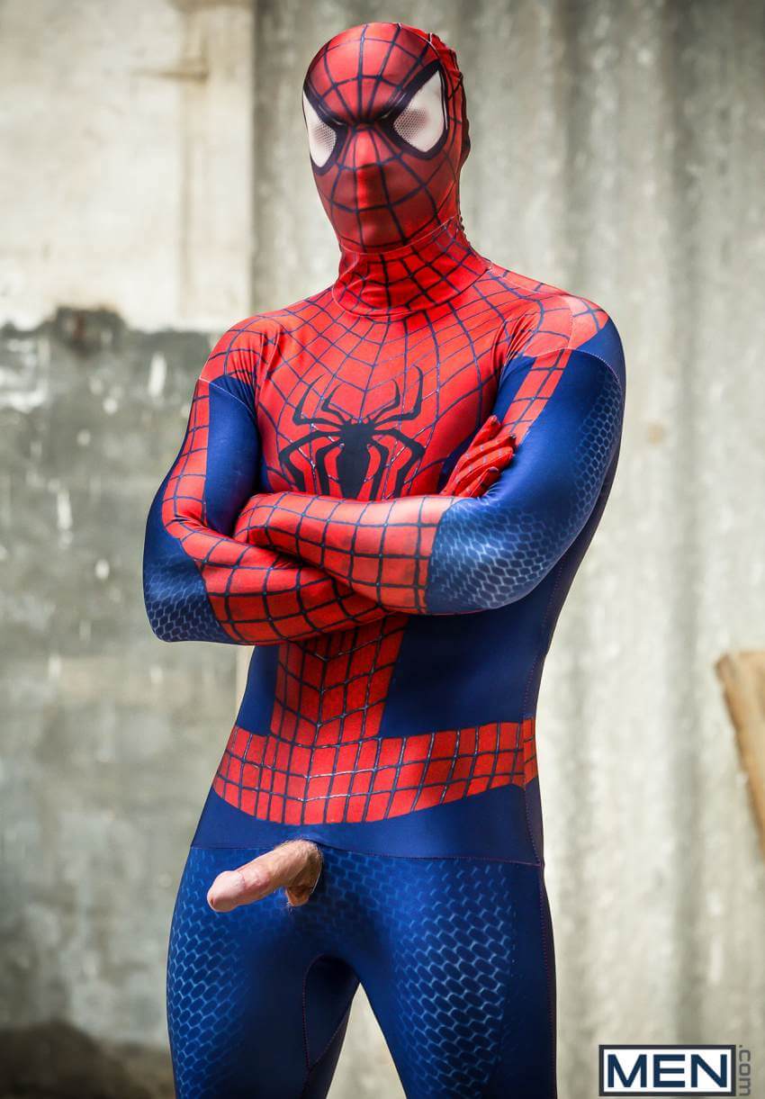 gays in spartanburg sc gay spiders
